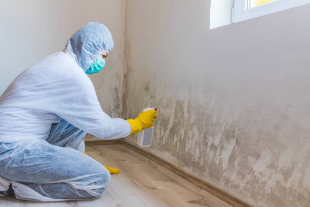 Mold inspector in Clinton performing thermal imaging